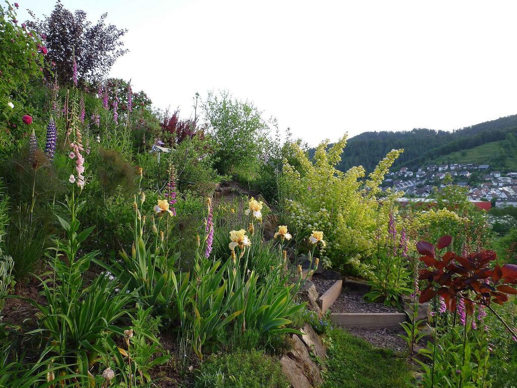 Ferienwohnung Huegelgarten Oppenau Exterior foto