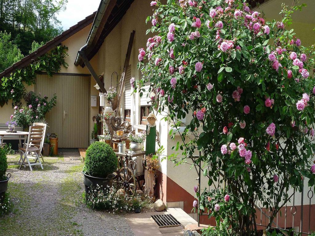 Ferienwohnung Huegelgarten Oppenau Exterior foto